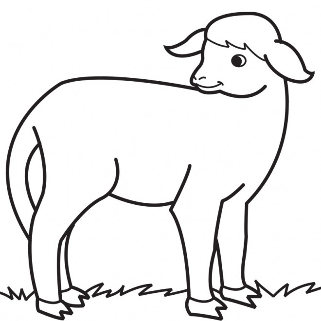Dessin Agneau Facile Dessin Agneau Facile