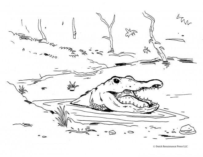 Coloriage et dessins gratuits Alligator dans la rivière à imprimer