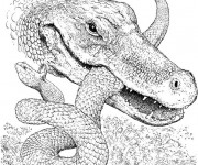 Coloriage Alligator et serpent en combat