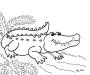 Coloriage Alligator facile