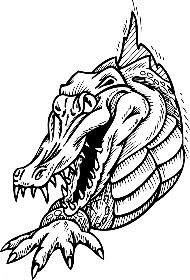 Coloriage et dessins gratuits Alligator féroce à imprimer
