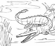 Coloriage Alligator féroce dans la rivière