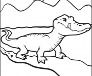 Coloriage Alligator se prépare pour manger