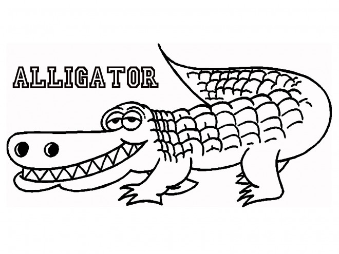 Coloriage et dessins gratuits Alligator souriant à imprimer