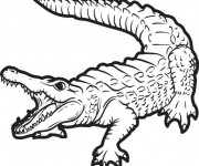 Coloriage et dessins gratuit Crocodile à imprimer