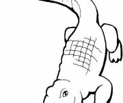 Coloriage et dessins gratuit Crocodile facile maternelle à imprimer
