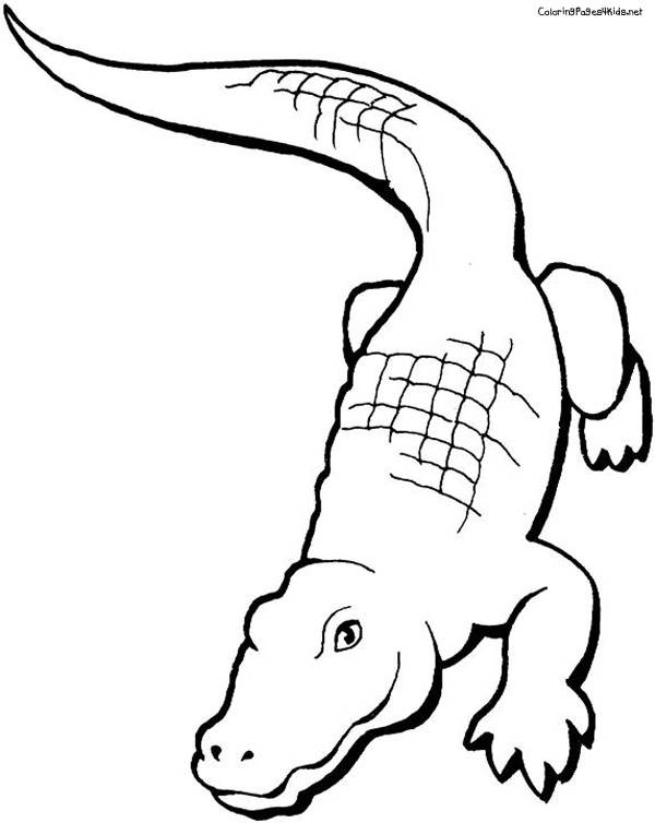Coloriage et dessins gratuits Crocodile facile maternelle à imprimer