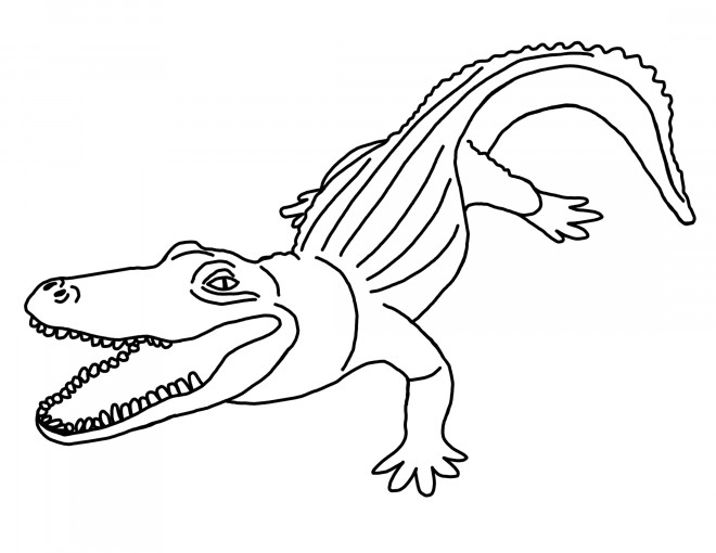 Coloriage et dessins gratuits Crocodile la coste à imprimer