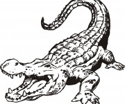 Coloriage Crocodile ouvrant sa bouche