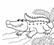 Coloriage Crocodile qui sourit