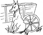 Coloriage &Acirc;ne de ferme