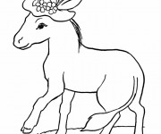 Coloriage &Acirc;ne portant un chapeau