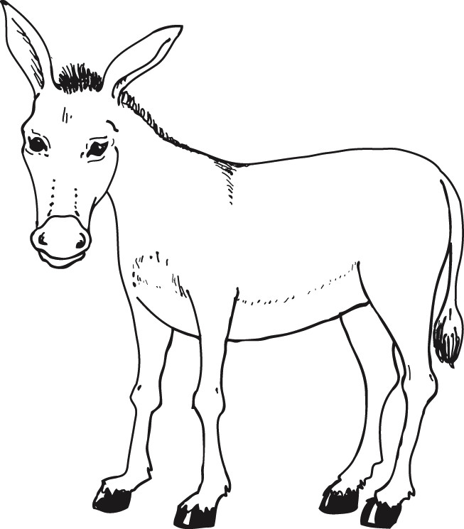 Coloriage Âne pour enfants dessin gratuit à imprimer