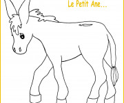 Coloriage et dessins gratuit Le petit âne à imprimer