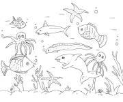 Coloriage Animaux de la mer imprimable