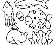 Coloriage Animaux de la mer simple