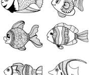 Coloriage Animaux maritime aquatiques
