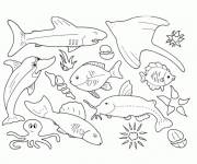 Coloriage Colorie les animaux de la mer