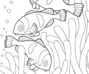 Coloriage Des poissons brillants dans les algues
