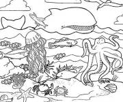Coloriage La diversit&eacute; du fond marin