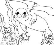 Coloriage Phoque et poissons sous la mer