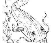 Coloriage Poisson moustache gratuit