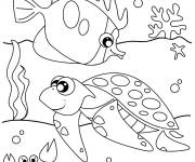 Coloriage et dessins gratuit Tortue et poisson dans la mer à imprimer