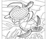 Coloriage Tortues de mer sur la surface de la mer