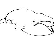 Coloriage et dessins gratuit Baleine bor&eacute;ale en risque à imprimer