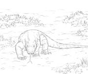 Coloriage Dragon de Komodo r&eacute;aliste