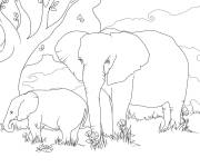 Coloriage Famille d'&eacute;l&eacute;phants d'afrique