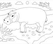 Coloriage et dessins gratuit Hippopotame de la savane en maternelle à imprimer