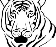 Coloriage et dessins gratuit Le tigre en risque d'extinction à imprimer