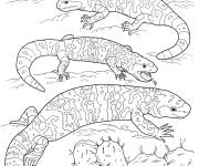 Coloriage Monstres de Gila