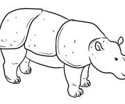 Coloriage et dessins gratuit Rhinoc&eacute;ros en maternelle à imprimer