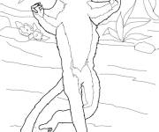 Coloriage Sifaka r&eacute;aliste