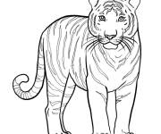 Coloriage Tigre un animal en danger