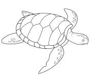 Coloriage et dessins gratuit Tortue de mer en danger à imprimer