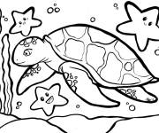 Coloriage Tortue de mer en maternelle