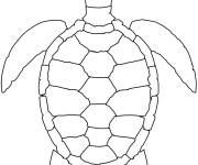Coloriage et dessins gratuit Tortue de mer en vecteur à imprimer