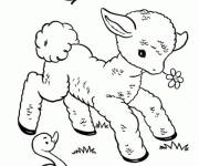 Coloriage Agneau Mignon avec le canard et le papillon