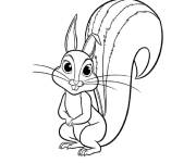 Coloriage Animal &eacute;cureuil mignon