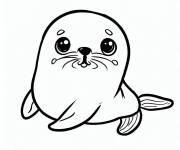 Coloriage Animal phoque mignon