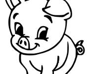 Coloriage B&eacute;b&eacute; cochon gentil