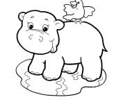 Coloriage B&eacute;b&eacute; Hippopotame et l'oiseau mignons