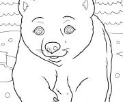 Coloriage B&eacute;b&eacute; ours polaire mignon sous la neige