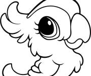 Coloriage B&eacute;b&eacute; Perroquet adorable