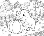 Coloriage B&eacute;b&eacute; rhinoc&eacute;ros mignon