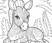 Coloriage B&eacute;b&eacute; z&egrave;bre au repos