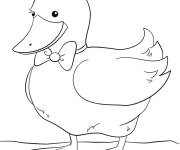 Coloriage Canard adorable en n&oelig;ud